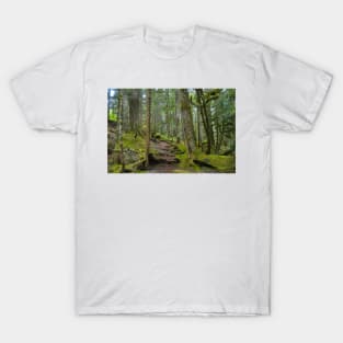 Deception Falls Trail T-Shirt